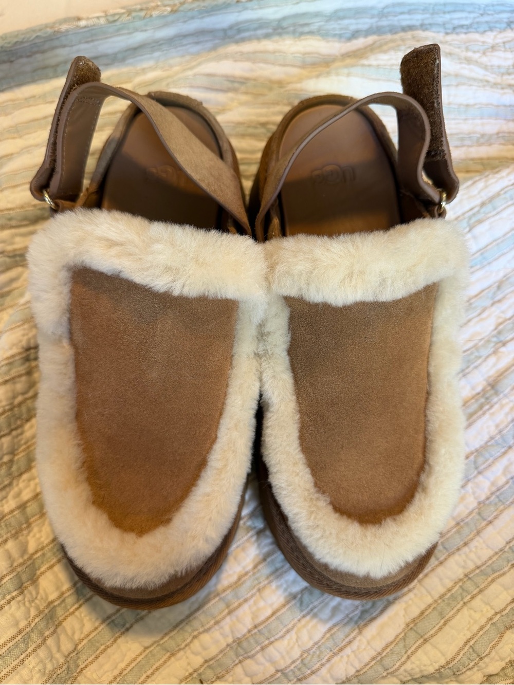 UGG Esmee Clog in Chestnut